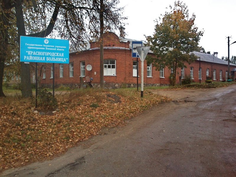Прогноз погоды пгт Красногородск Псковская область